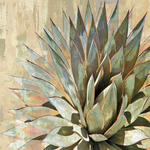 Succulent I White Modern Wood Framed Art Print by Benson, Lindsay