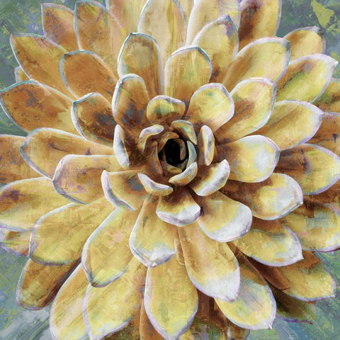 Succulent II Gold Ornate Wood Framed Art Print with Double Matting by Benson, Lindsay