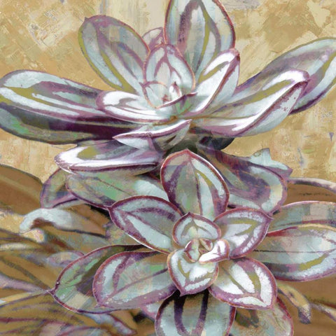 Succulent IV Gold Ornate Wood Framed Art Print with Double Matting by Benson, Lindsay