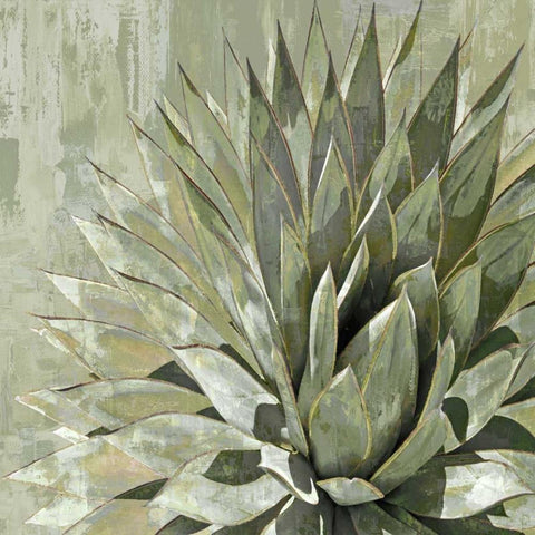 Succulent Verde I White Modern Wood Framed Art Print by Benson, Lindsay