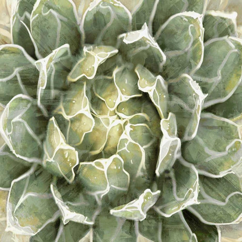 Succulent Verde III White Modern Wood Framed Art Print with Double Matting by Benson, Lindsay