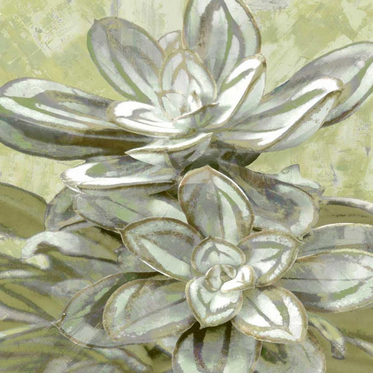 Image Only