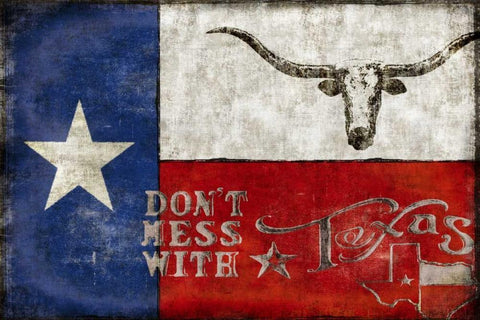 Texas Proud White Modern Wood Framed Art Print with Double Matting by Wilson, Luke