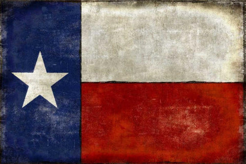 Lone Star Black Ornate Wood Framed Art Print with Double Matting by Wilson, Luke