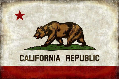 The California Republic White Modern Wood Framed Art Print with Double Matting by Wilson, Luke