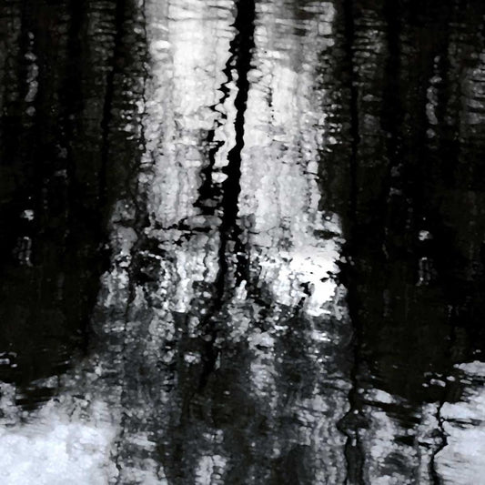 Image Only