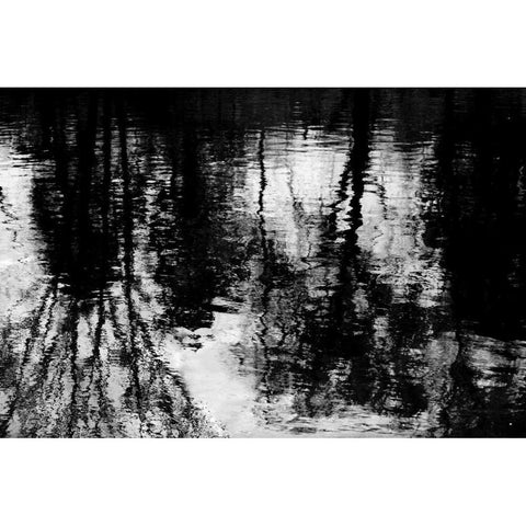 Reflecting Black Modern Wood Framed Art Print with Double Matting by Barrett, Michael