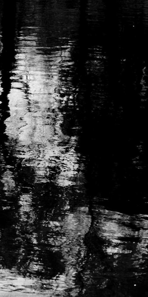 Image Only