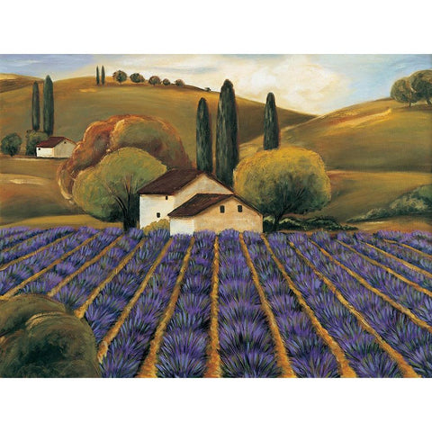 Field of Lavender I Gold Ornate Wood Framed Art Print with Double Matting by Cooper, Michael