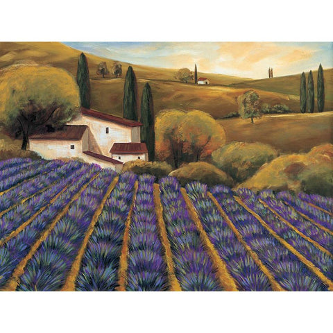 Field of Lavender II Black Modern Wood Framed Art Print with Double Matting by Cooper, Michael