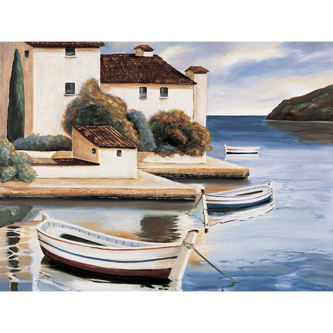 Lake Villa I Black Modern Wood Framed Art Print by Cooper, Michael