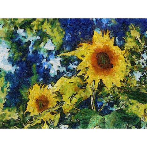 Sunflowers  White Modern Wood Framed Art Print by Calkins, Michelle