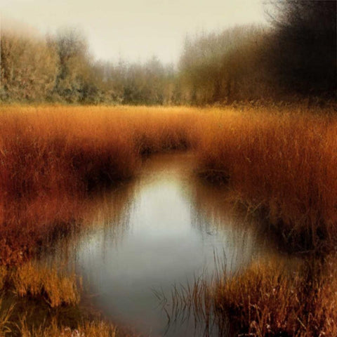 Sunlit Pond II White Modern Wood Framed Art Print with Double Matting by Clark, Madeline