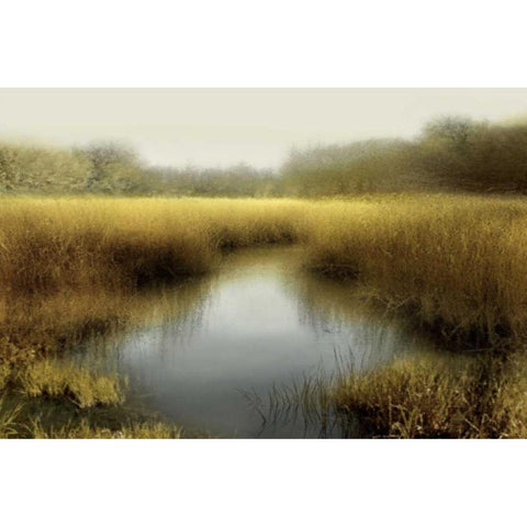 Tranquil Pond Black Modern Wood Framed Art Print with Double Matting by Clark, Madeline