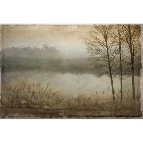 Daybreak I White Modern Wood Framed Art Print by Clark, Madeline