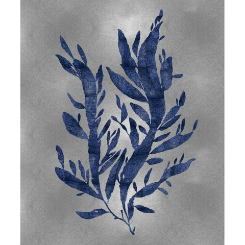 Sea Life - Blue on Silver IV White Modern Wood Framed Art Print by Miller, Melonie