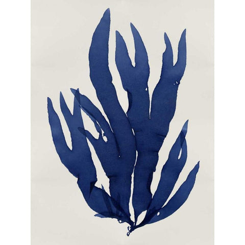 Sea Life - Indigo III White Modern Wood Framed Art Print by Miller, Melonie