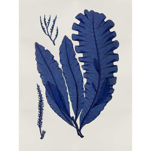 Sea Life - Indigo IV White Modern Wood Framed Art Print by Miller, Melonie