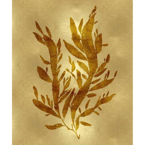 Sea Life - Gold IV White Modern Wood Framed Art Print by Miller, Melonie