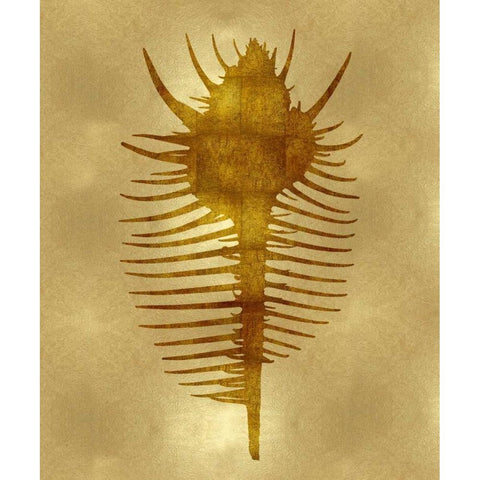 Sea Life - Gold VI Black Modern Wood Framed Art Print with Double Matting by Miller, Melonie