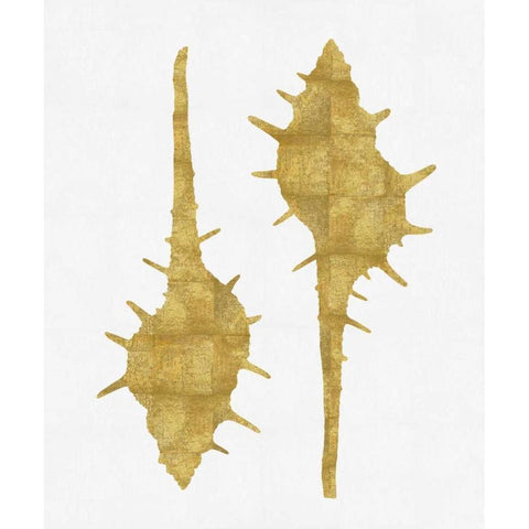 Sea Life - Gold on White II Black Modern Wood Framed Art Print with Double Matting by Miller, Melonie