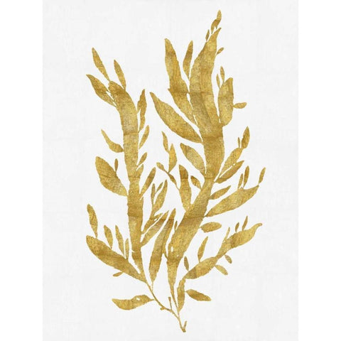 Sea Life - Gold on White IV White Modern Wood Framed Art Print by Miller, Melonie