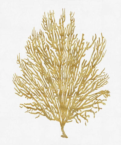 Sea Life - Gold on White V White Modern Wood Framed Art Print with Double Matting by Miller, Melonie