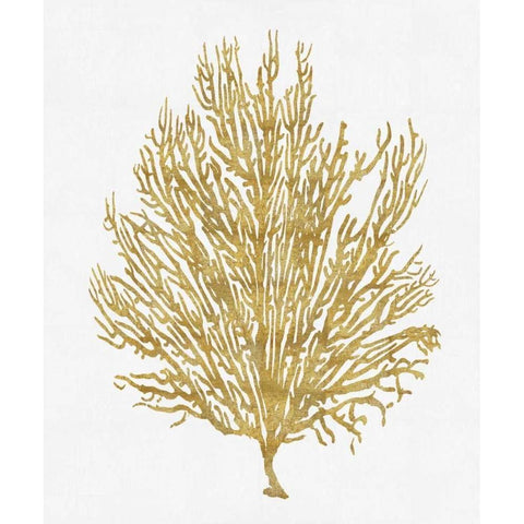 Sea Life - Gold on White V White Modern Wood Framed Art Print by Miller, Melonie