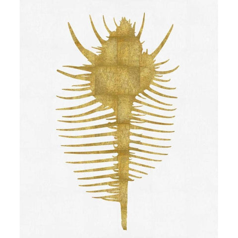 Sea Life - Gold on White VI White Modern Wood Framed Art Print by Miller, Melonie