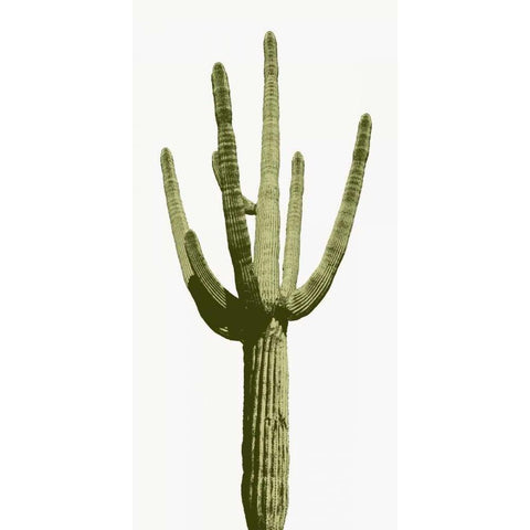 Saguaro I Black Modern Wood Framed Art Print with Double Matting by Jensen, Mia