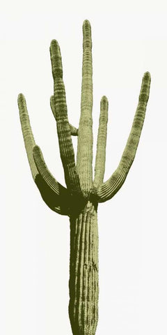 Saguaro I White Modern Wood Framed Art Print with Double Matting by Jensen, Mia