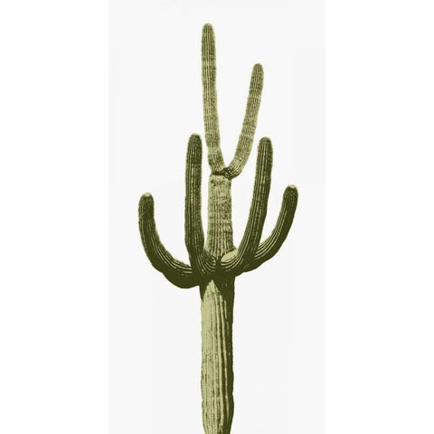 Saguaro III Black Modern Wood Framed Art Print with Double Matting by Jensen, Mia