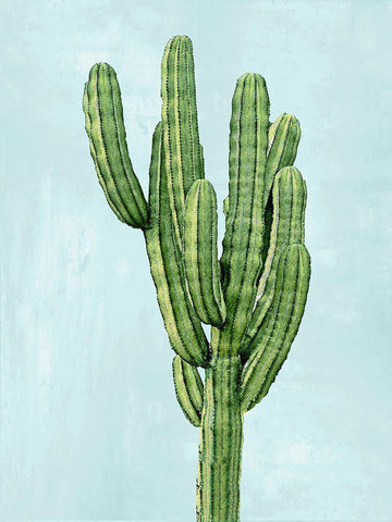 Cactus on Blue I White Modern Wood Framed Art Print with Double Matting by Jensen, Mia