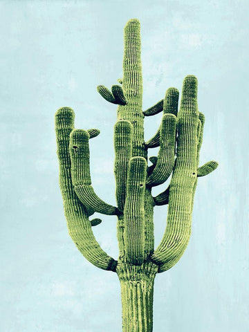 Cactus on Blue II Black Ornate Wood Framed Art Print with Double Matting by Jensen, Mia