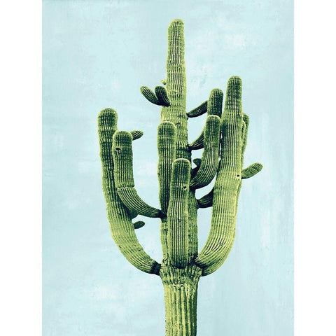 Cactus on Blue II White Modern Wood Framed Art Print by Jensen, Mia