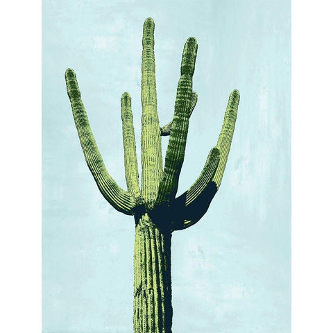 Cactus on Blue III White Modern Wood Framed Art Print by Jensen, Mia