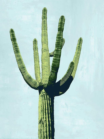 Cactus on Blue III White Modern Wood Framed Art Print with Double Matting by Jensen, Mia