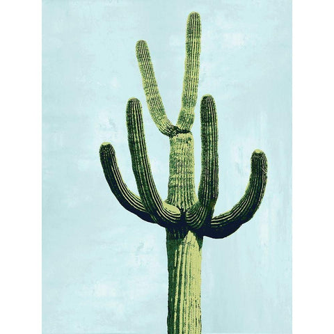 Cactus on Blue IV Black Modern Wood Framed Art Print with Double Matting by Jensen, Mia