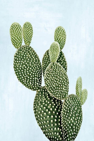 Cactus on Blue V Black Ornate Wood Framed Art Print with Double Matting by Jensen, Mia