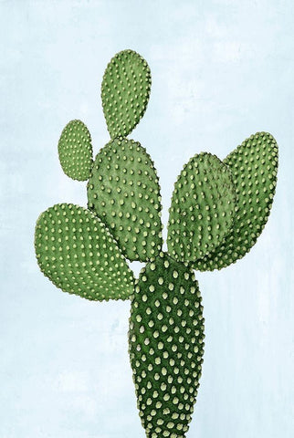 Cactus on Blue VIII White Modern Wood Framed Art Print with Double Matting by Jensen, Mia