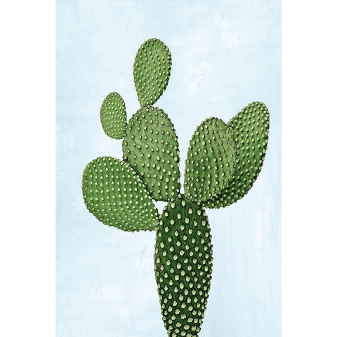 Cactus on Blue VIII White Modern Wood Framed Art Print by Jensen, Mia