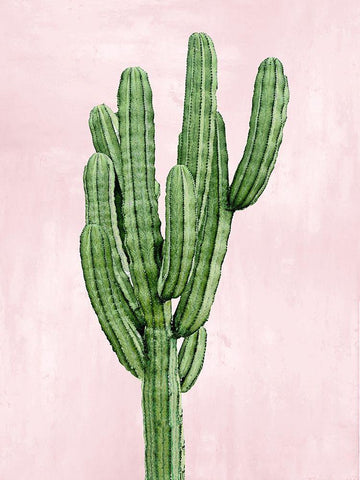 Cactus on Pink I Black Ornate Wood Framed Art Print with Double Matting by Jensen, Mia