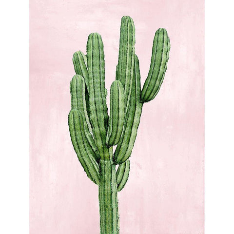 Cactus on Pink I Black Modern Wood Framed Art Print by Jensen, Mia