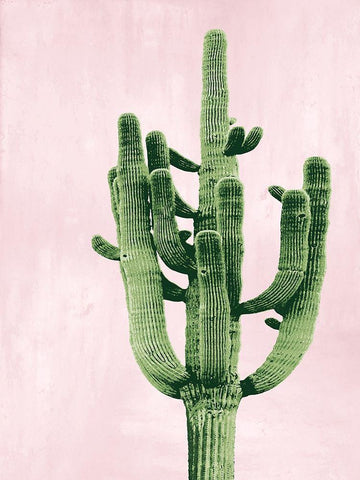 Cactus on Pink II White Modern Wood Framed Art Print with Double Matting by Jensen, Mia