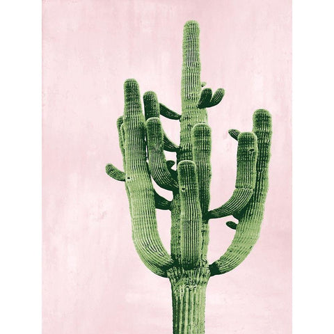 Cactus on Pink II Black Modern Wood Framed Art Print with Double Matting by Jensen, Mia