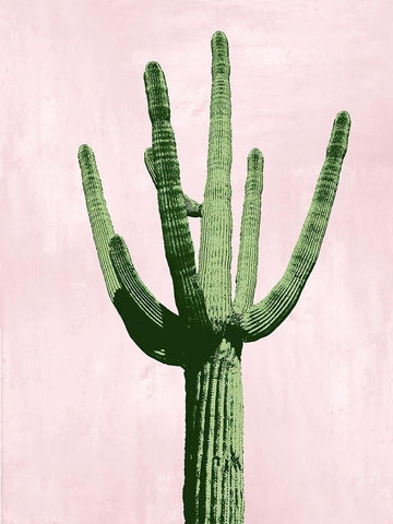 Cactus on Pink III White Modern Wood Framed Art Print with Double Matting by Jensen, Mia