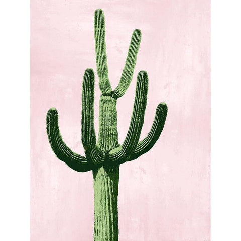 Cactus on Pink IV Black Modern Wood Framed Art Print with Double Matting by Jensen, Mia