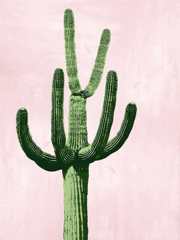 Cactus on Pink IV White Modern Wood Framed Art Print with Double Matting by Jensen, Mia