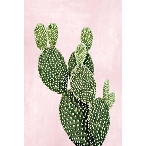Cactus on Pink V White Modern Wood Framed Art Print by Jensen, Mia