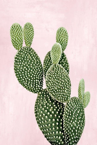 Cactus on Pink V White Modern Wood Framed Art Print with Double Matting by Jensen, Mia